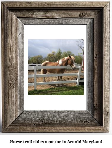 horse trail rides near me in Arnold, Maryland